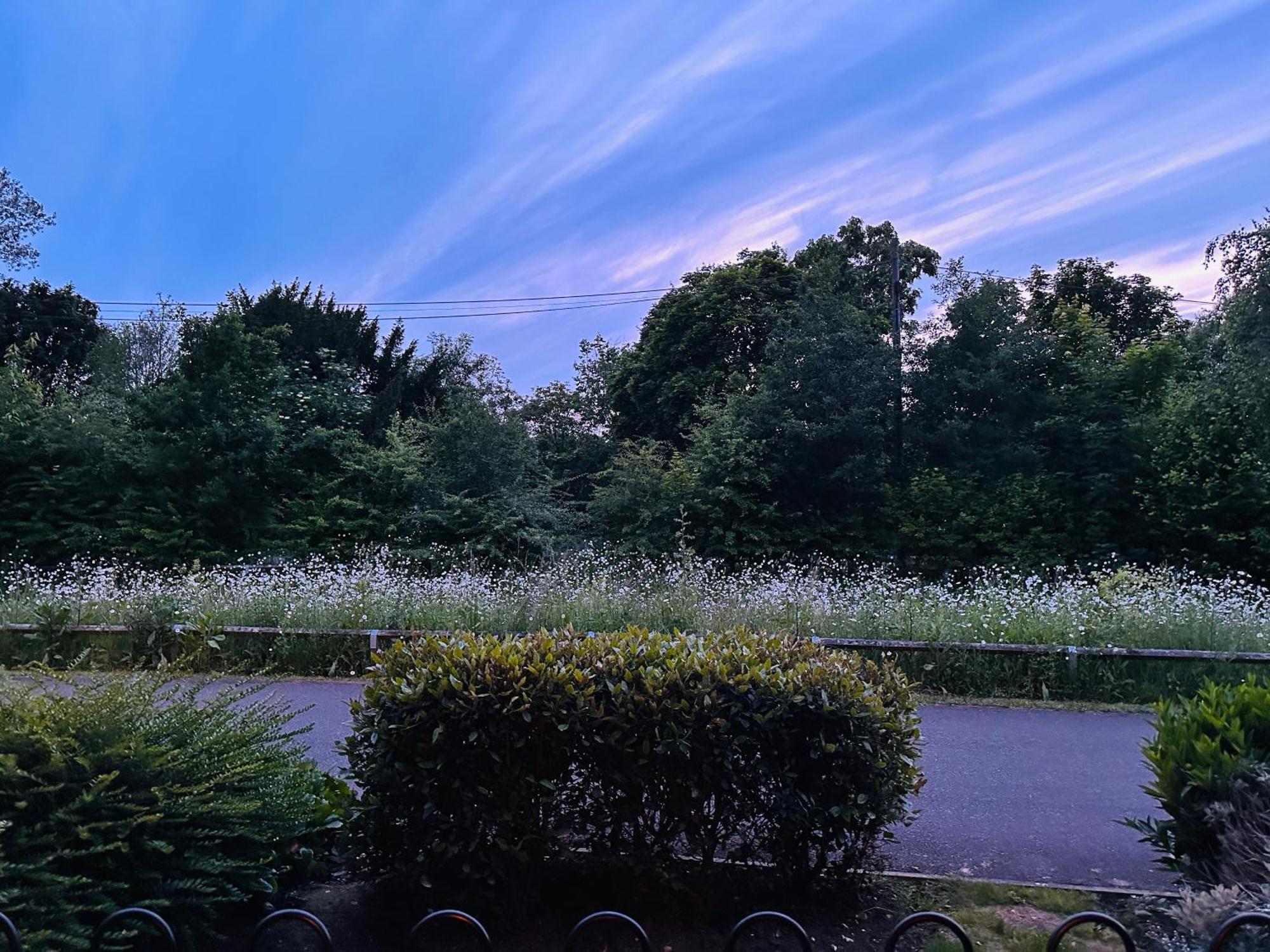 Aroma Cambridge Lejlighed Girton  Eksteriør billede